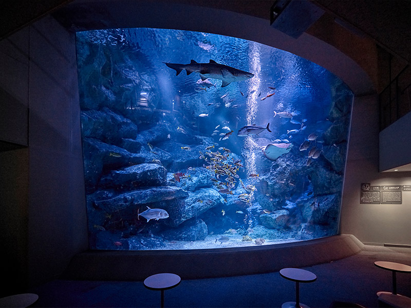 すみだ水族館