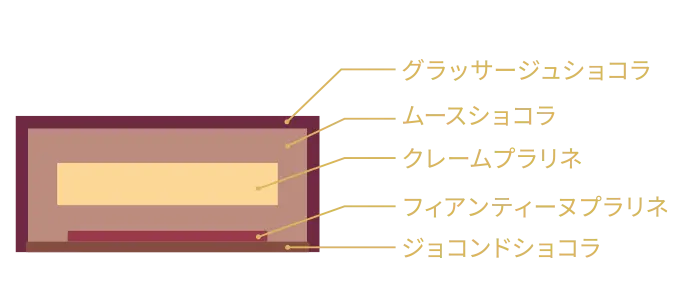 ムース・オ・ショコラ・ノワゼット 断面図