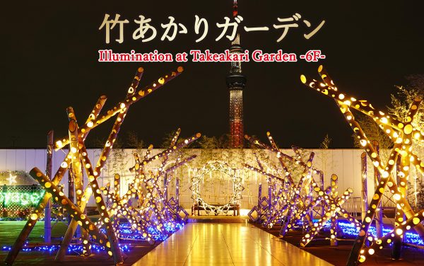 東武ホテルレバント東京 6F【竹あかりガーデン】～Takeakari Garden～